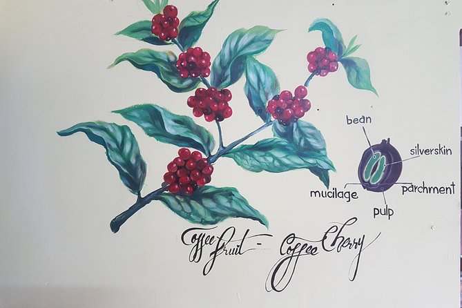 Vietnamese Coffee Master Class - Exploring Hoi Ans Third-Wave Coffee Scene