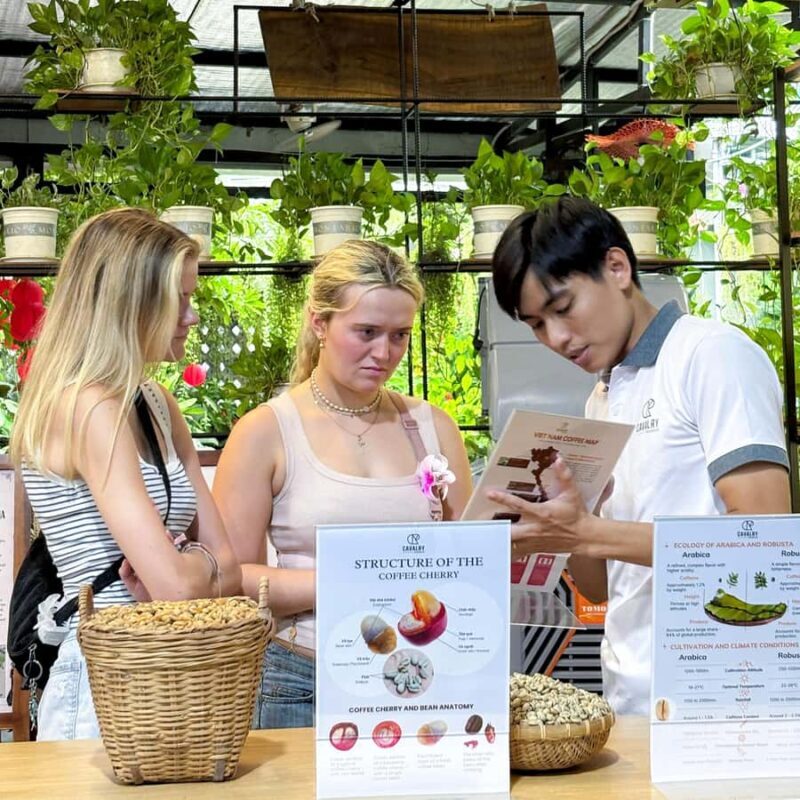 Vietnamese Coffee Secrets: Hands-On Workshop in Hoi An - Discovering Vietnamese Coffee Culture