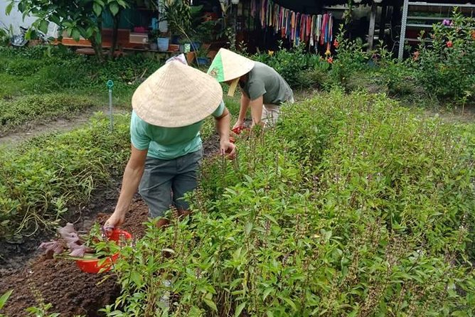 Vietnamese Cooking Class and Cu Chi Tunnels Tour From Ho Chi Minh City - Delicious Lunch
