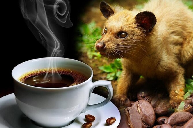 Vietnamese Culture and Coffee Making Class - Coffee Making Tools and Instructor Provided