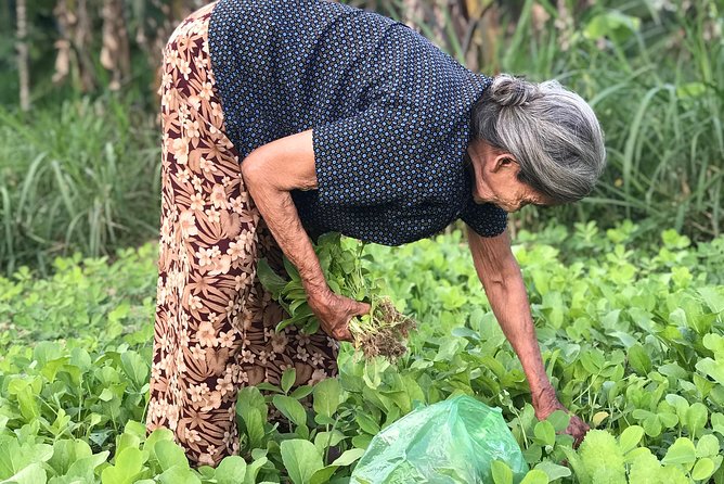 Vietnamese Rural Life Experience - Additional Information and Contact Details