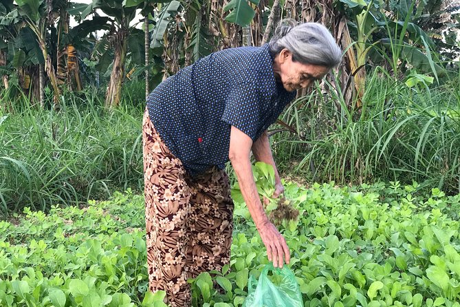 Vietnamese Rural Life Experience - The Sum Up