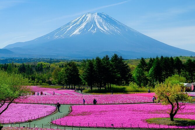 View of Mt. Fuji, Chureito Pagoda and Hakone Cruise Day Trip - Booking and Pricing Information
