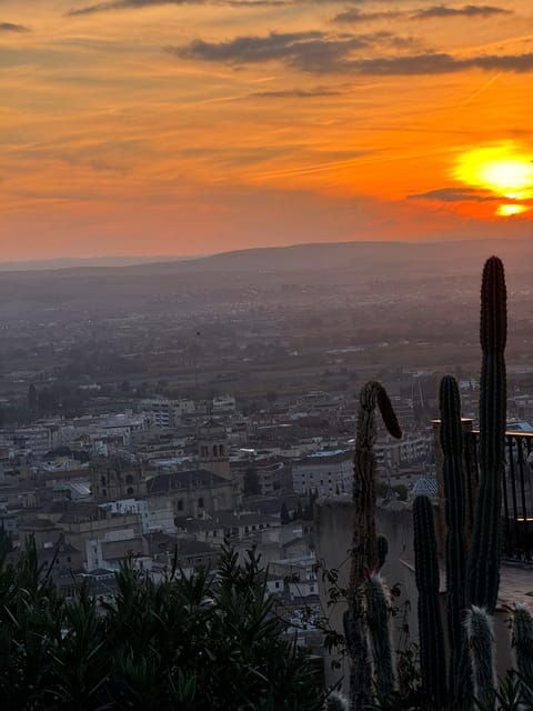 Viewpoints in the Albaicín - Practical Considerations for the Tour
