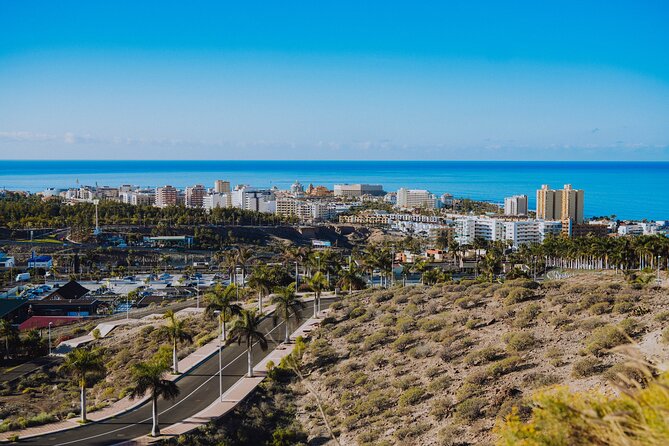 Views & Drinks Tour by Tuk Tuk in Costa Adeje - Overview of the Tour