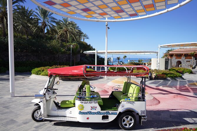 Views & Drinks Tour by Tuk Tuk in Costa Adeje - Tuk Tuk Experience