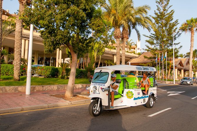 Views & Drinks Tour by Tuk Tuk in Costa Adeje - Banana Plantation Visit