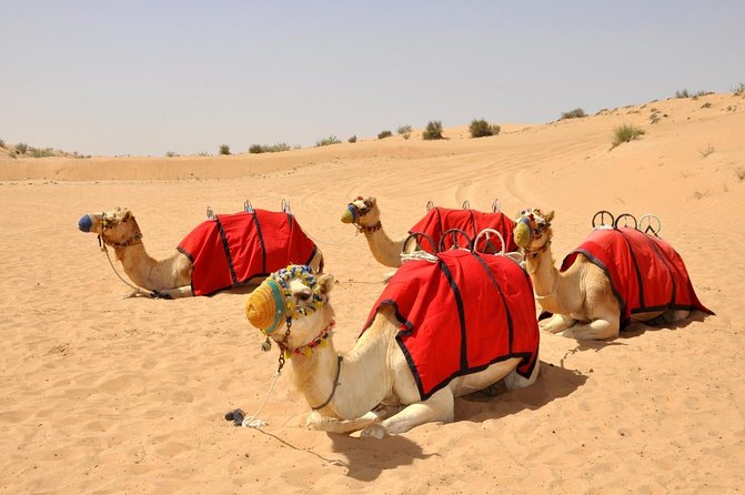 Views Of Dubai Beautiful Desert By Hot Air Balloon - Good To Know