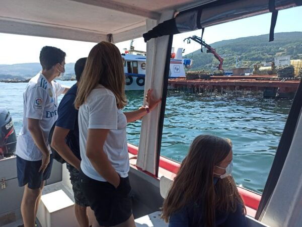 Vigo: Bay of San Simón Mussel Farming Tour - Safety Guidelines