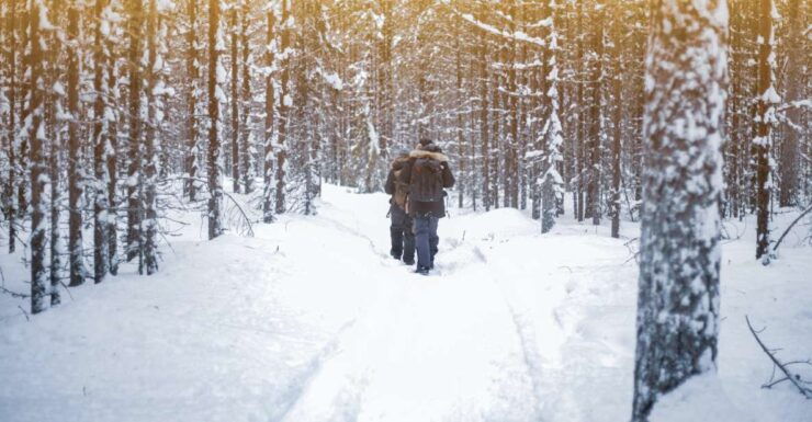 Vikakongas Hike: Nature and Silence - Experience Highlights