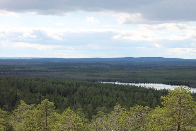 VIKAKONGAS HIKE Nature and Silence - Embracing Silence: Discovering the Magic of Vikakongas