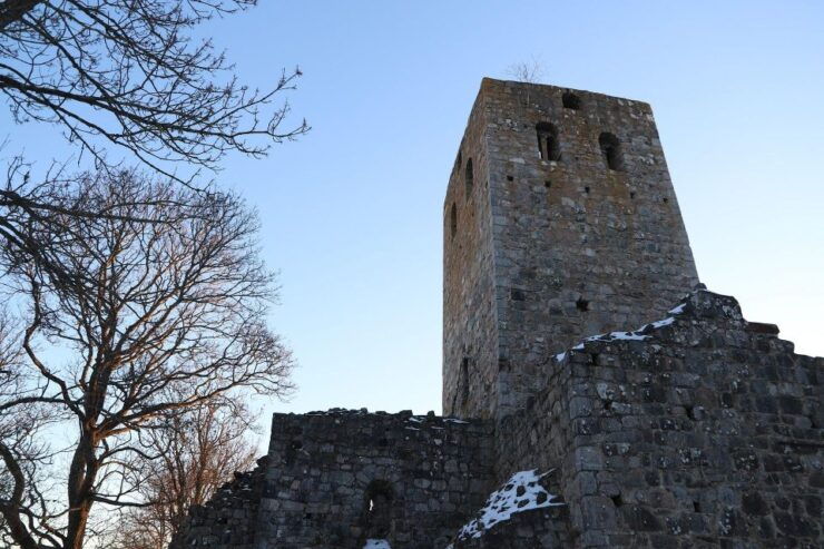 Viking History Day Tour to Sigtuna, Uppsala and Countryside - Tour Details