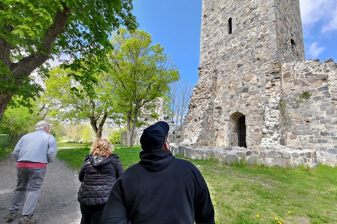 Viking History, Fika & Countryside 9h Tour to Sigtuna & Uppsala - Tour Details