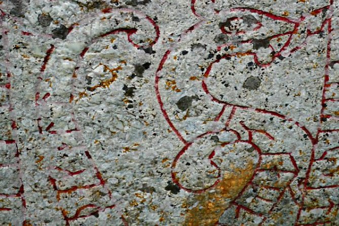 Viking History, Fika & Countryside 9h Tour to Sigtuna & Uppsala - What to Expect on the Tour