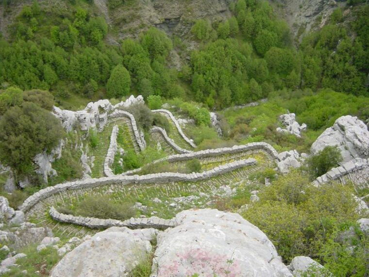 Vikos Gorge Beloi Viewpoint 3-Hour Hike - Who Is This Tour Best For?