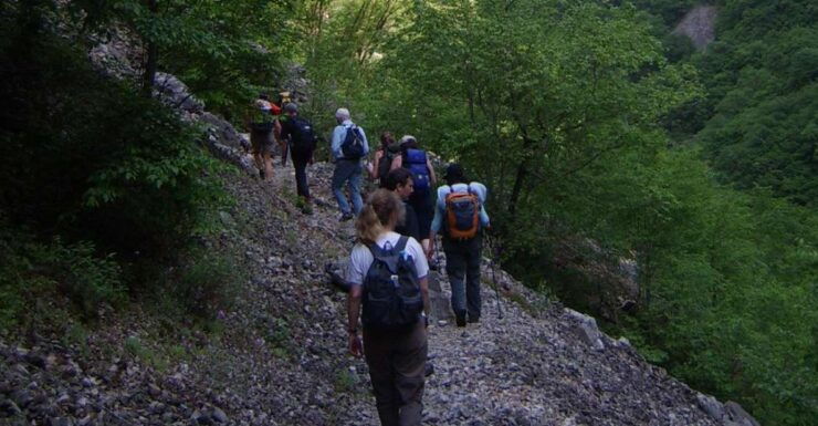 Vikos Gorge Full-Day Guided Hike - Activity Details