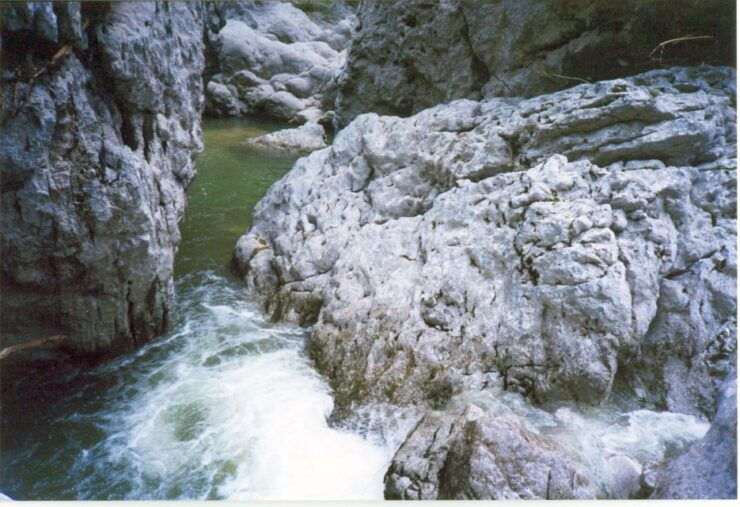 Vikos Gorge Full-Day Guided Hike - Experience Highlights