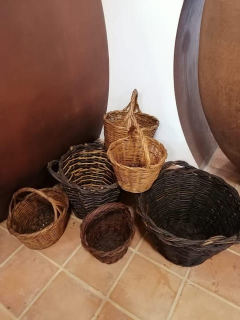 Vila de Frades: Talha Wine Tour with Tastings - Itinerary Breakdown and What to Expect
