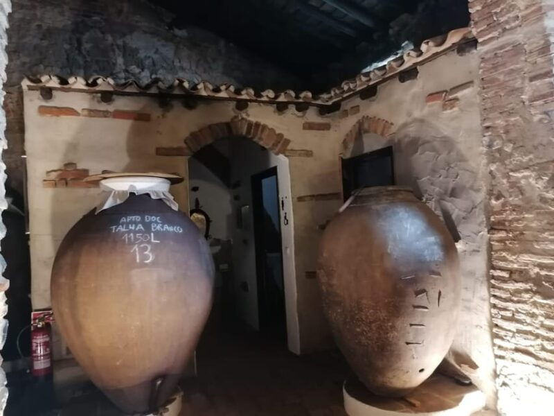 Vila de Frades: Talha Wine Tour with Tastings - Pricing and Value