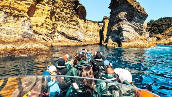 Vila Franca Do Campo: Around the Islet Guided Boat Tour - Booking and Cancellation Policy
