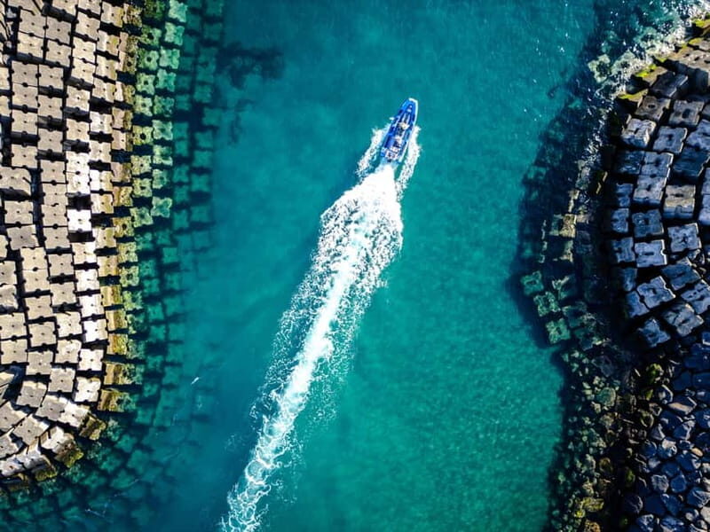 Vila Franca do Campo: Bird Watching & Snorkeling - What is the Vila Franca do Campo: Bird Watching & Snorkeling Tour?