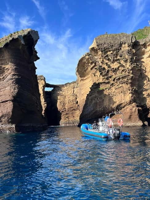 Vila Franca do Campo: Bird Watching & Snorkeling - Final Thoughts