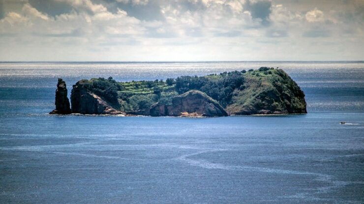 Vila Franca Islet: Off-coast Nature Reserve Tour - Cancellation and Reservation Details