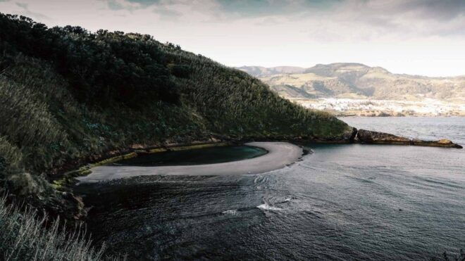 Vila Franca Islet: Off-coast Nature Reserve Tour - Wildlife Observation Opportunities