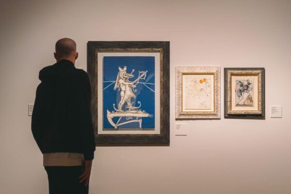 Vila Nova De Gaia: Atkinson Museum Dalí Universe Exhibition - Tips for a Great Visit