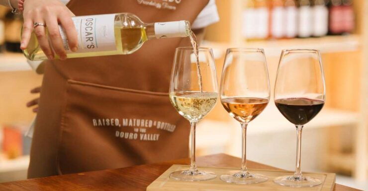 Vila Nova De Gaia: Douro Discovery - Activity Details