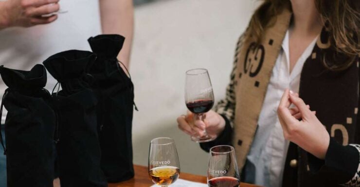 Vila Nova De Gaia: Port Wine Blind Tasting - Experience Highlights