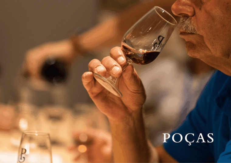 Vila Nova de Gaia: Winery Tour with 2 DOC Douro & 2 Ports - Authentic Experiences and Highlights from Reviews