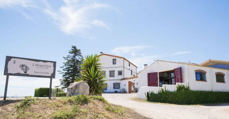 Vilafranca Del Penedès: Winery Visit With Tastings - Experience Highlights