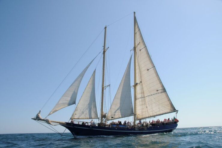 Vilamoura: Full-Day Algarve Cruise With BBQ Lunch on Beach - Language Options and Highlights