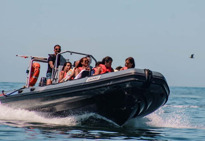 Vilamoura: Private Benagil Cave Tour Swim Stop - Why Choose This Tour?