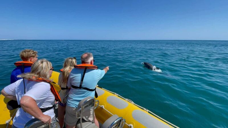 Vilamoura: Private Boat Tour Benagil Cave and Marinha Beach - Practicalities and Tips