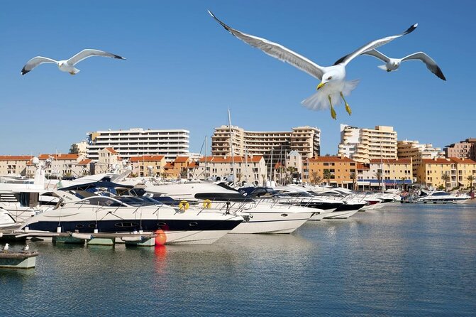 Vilamoura Quarteira Seaside Segway Tour by Night - Itinerary