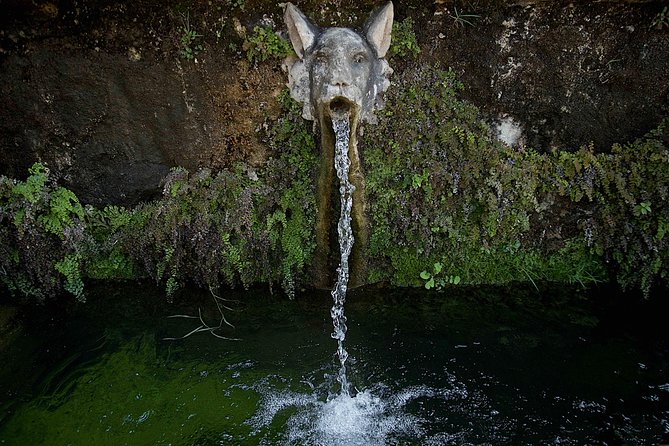 Villa Adriana and Vila D Este Private Photo Tour and Workshop - Questions