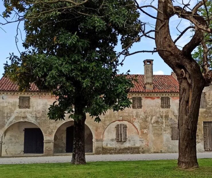 Villa Bogdano 1880: Guided Winery Tour and Tasting - Tour Details