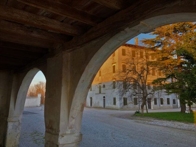 Villa Bogdano 1880: Guided Winery Tour and Tasting - Tour Description