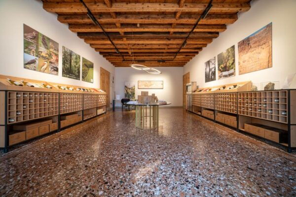 Villa Bogdano 1880: Guided Winery Tour and Tasting - Frequently Asked Questions