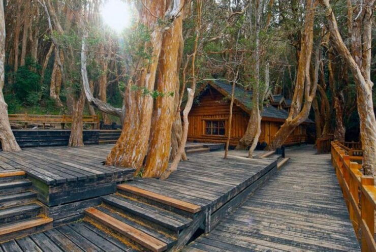 Villa La Angostura: Arrayanes Forest Excursion - Key Highlights of the Tour