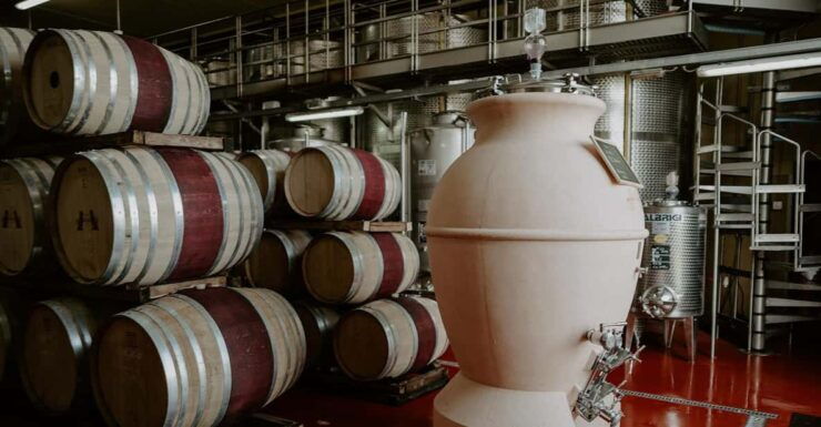 Villa Mangiacane: Wine Tasting With Florence View - Scenic Winery Location