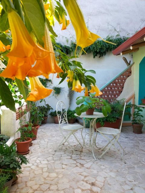 Villacidro: Sardinian Weaving Workshop Local Experience - Workshop Location and Duration