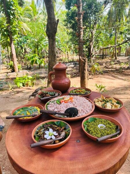 Village Cooking Experience, Activities With Meal: Udawalawa - Frequently Asked Questions