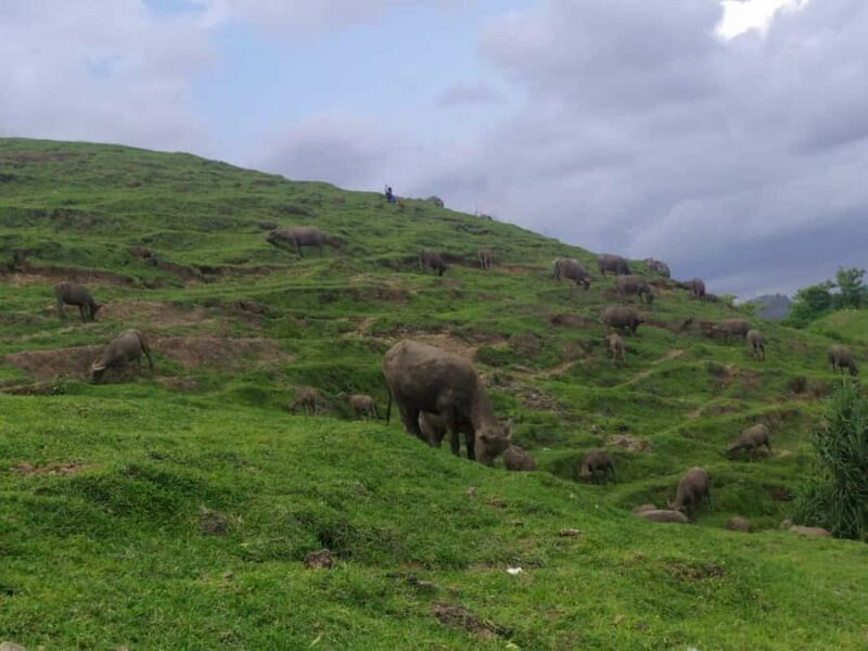 Village culture and nature sasak tour - The Sum Up: Is This Tour Worth It?