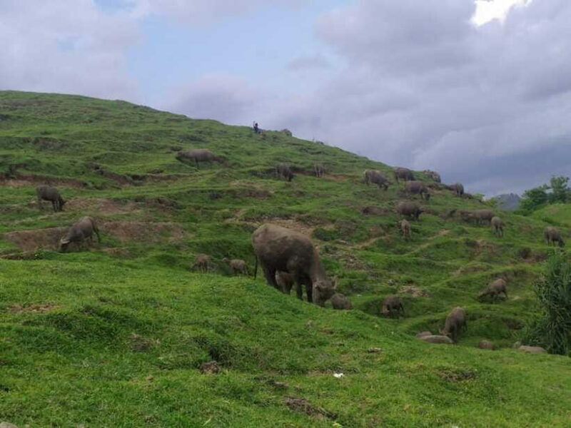 Village culture and nature sasak tour - FAQ