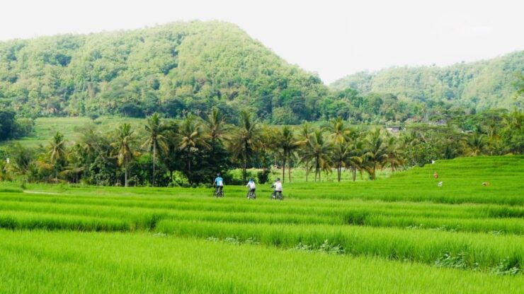 Village Cycling Tour in Nanggulan - Activity Information