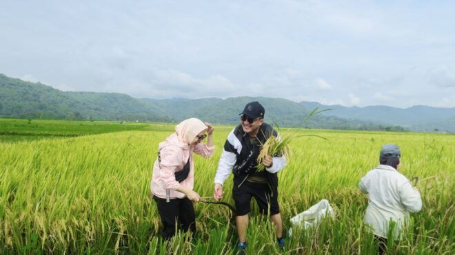 Village Cycling Tour in Nanggulan - Logistics and Essentials