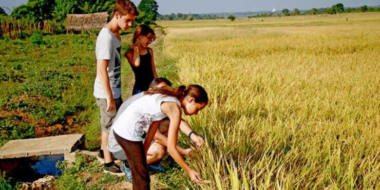 Village Expedition in Yala From Hambantota Harbor by Tuk-Tuk - Activity Details
